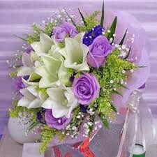 Combinacion de colores morado, negro y verde - 24