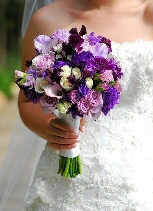 Combinacion de colores morado, negro y verde - 25
