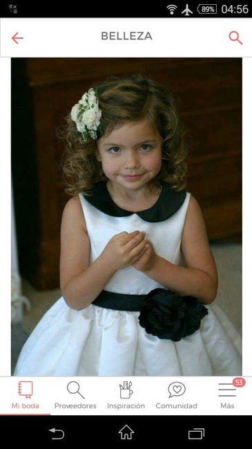  Peinados para las damitas - 1