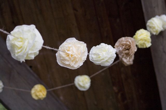 Boda ecologica - RRR 