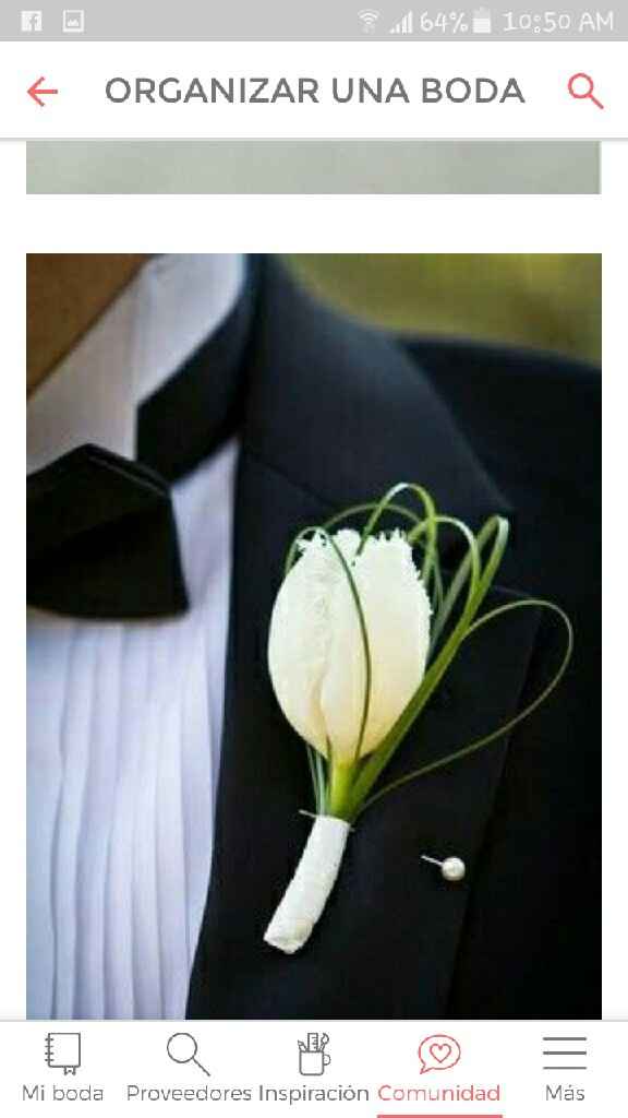 Usar tulipanes 🌷 - 1
