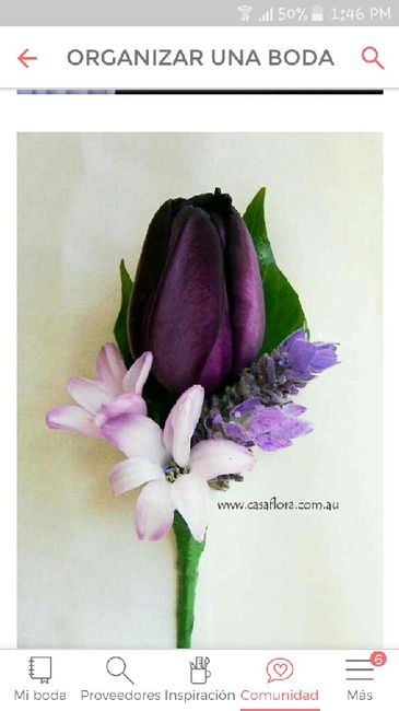 ¿y ustedes ya escogieron sus flores? ✿◕‿◕✿ ❀◕‿◕❀ ❁◕‿◕❁ ✾◕‿◕✾ - 1