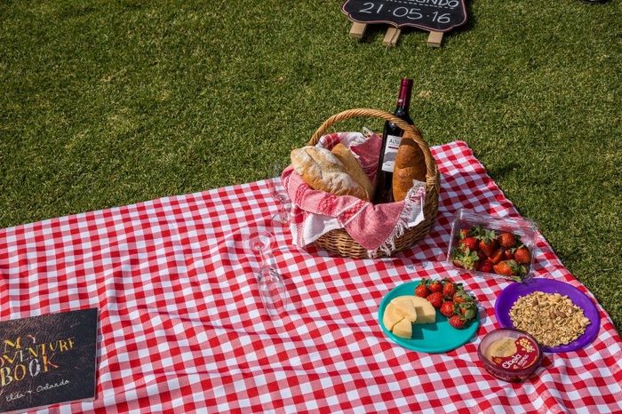 Nuestro picnic