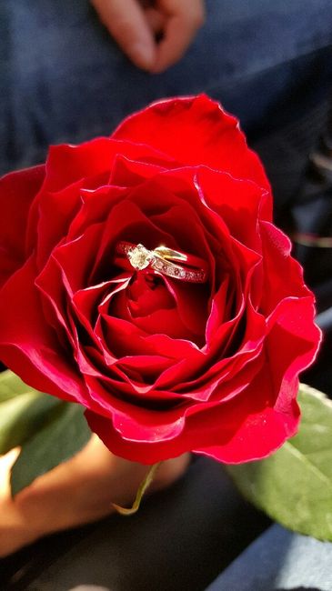 Presuman sus anillos!!! - 1