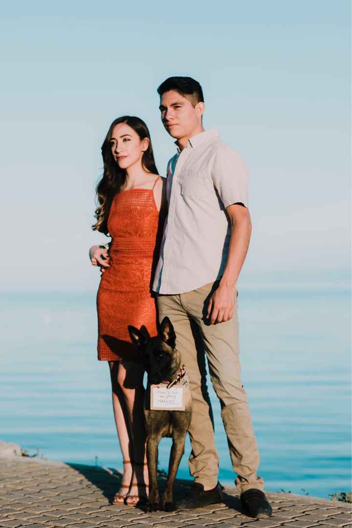 Sesión de fotos con nuestras cachorras 💕 - 10