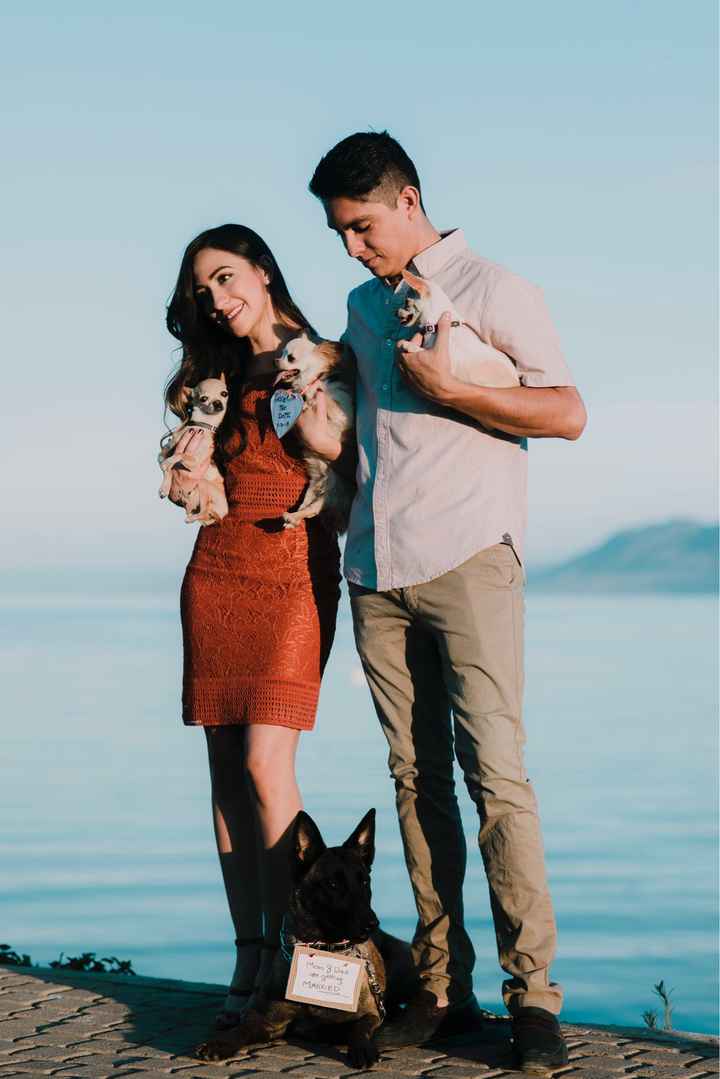 Sesión de fotos con nuestras cachorras 💕 - 11