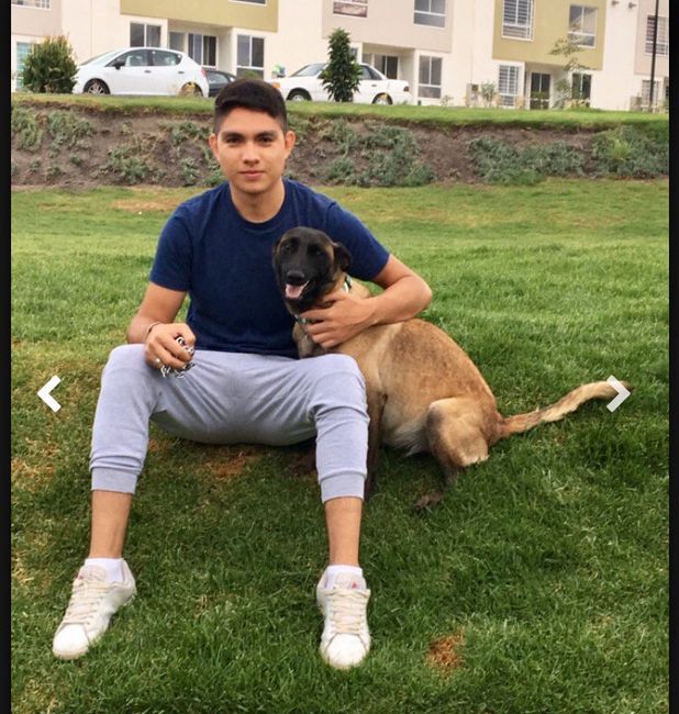  🐶 👰encontré mi verdadera vocación - 3