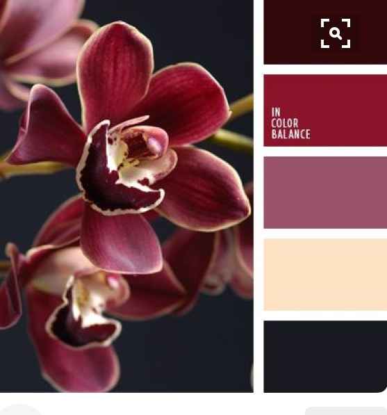 Combinaciones de colores "blanco y guindo". - 2