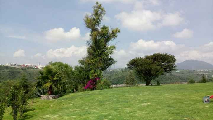 jardin 2 