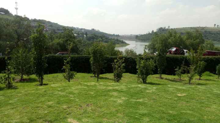 jardin 4 