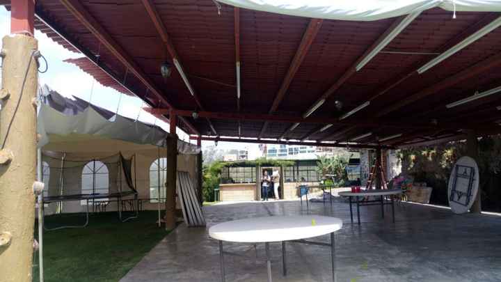 jardin 6 