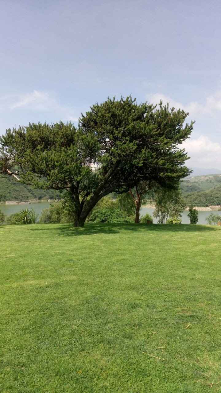 jardin 10