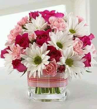 rosas 