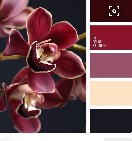 Combinaciones de colores 