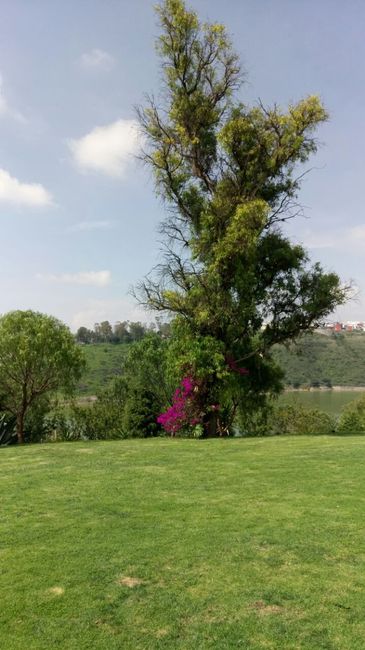 jardin 1 