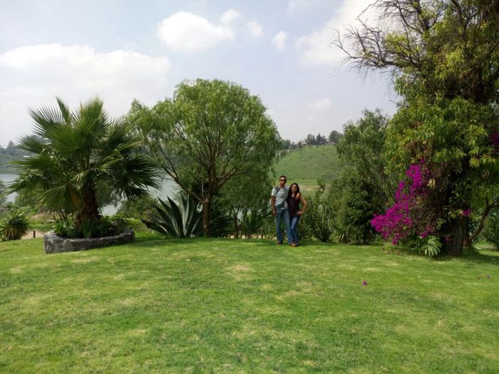 jardin 5 
