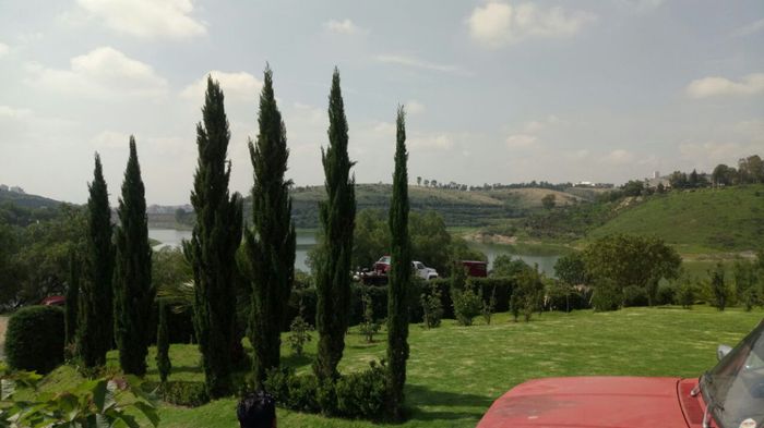 jardin 9 
