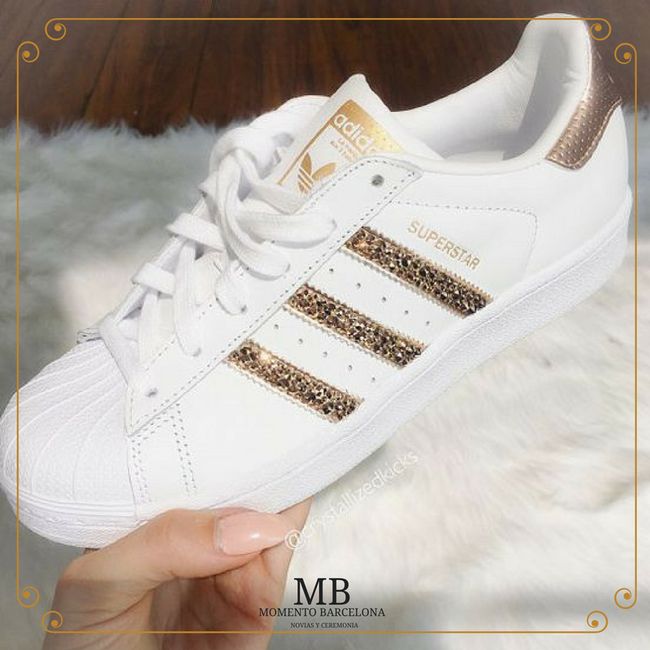 tenis 6 