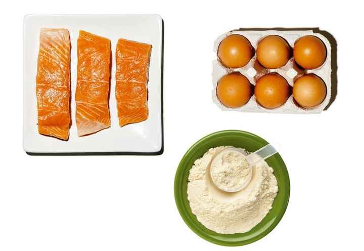 Ricos en proteina