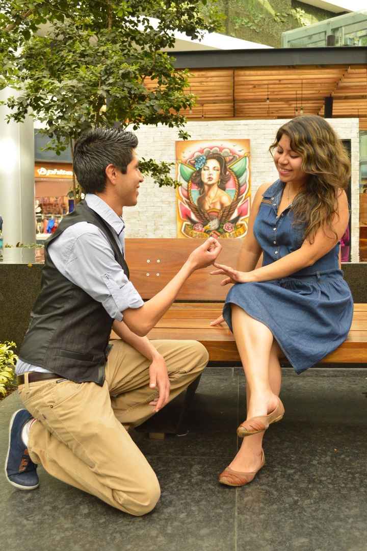 Propuesta de matronio