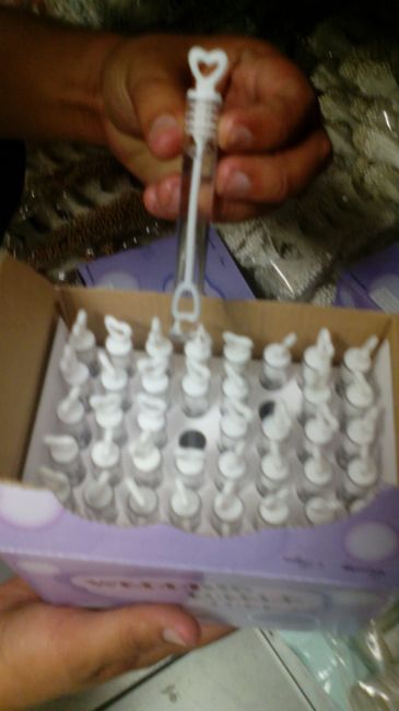 Brides de gdl... ya encontre los burbujeros  - 2