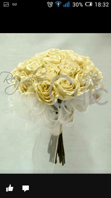 Ramo artificial??? - 3