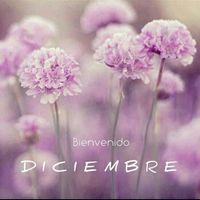 Diciembre llegó!.. - 1