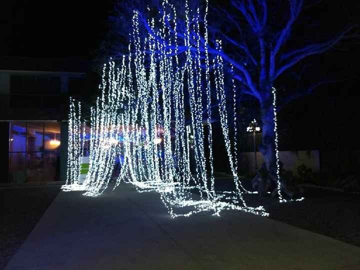 Enamorada de la decoración - 1