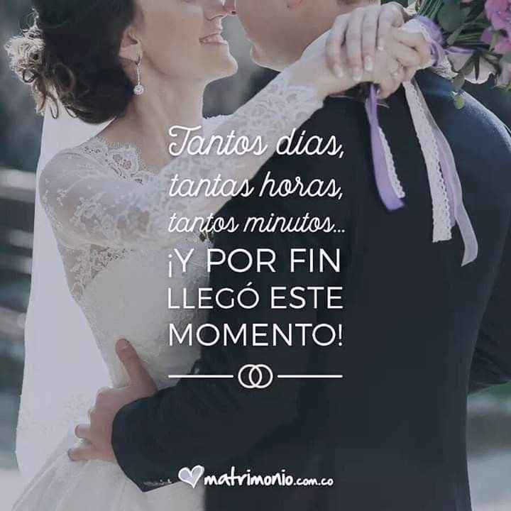 Chipil, muuuuy Chipil 😪 a días de la boda. - 1