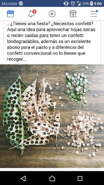 La tradición de lanzar arroz - 1