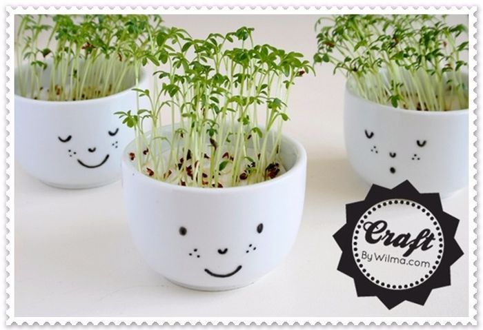 Plantitas