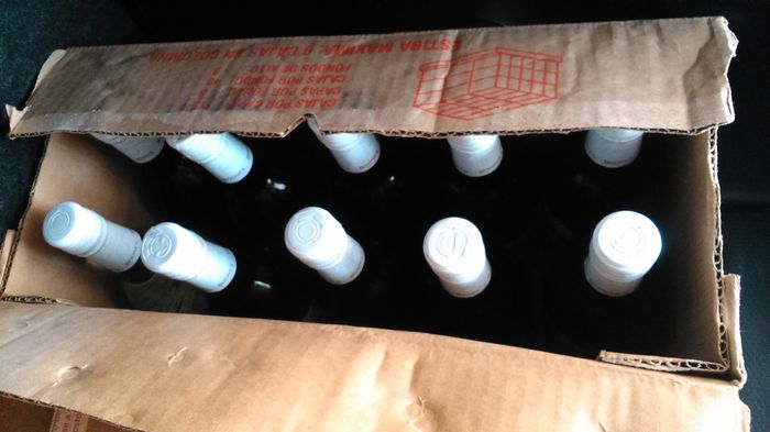 Avances a 100 días!  - 2