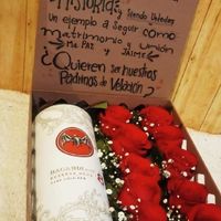 Cuanto tiempo de anticipación pidieron a sus padrinos? - 1