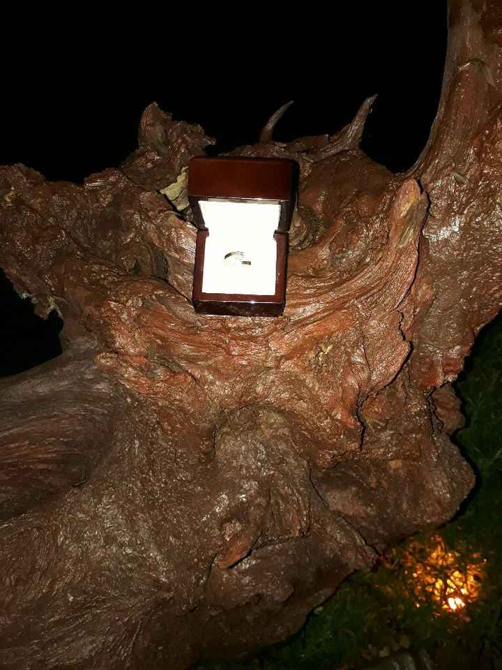 Tu anillo de compromiso se parece a... - 1