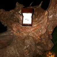 Tu anillo de compromiso se parece a... - 1