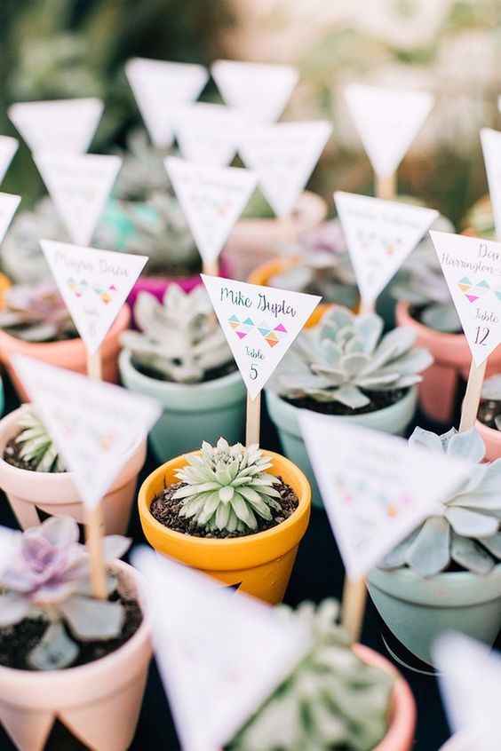 2. Recuerdito de macetas de plantas tradicionales Mexicanas