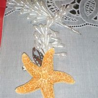 Boutonniere de playa