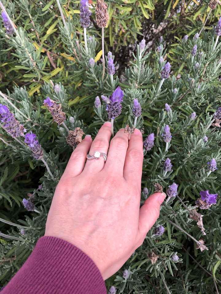 Dia Festivo y de presumir su anillo de compromiso - 1