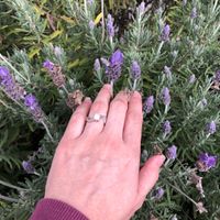 Dia Festivo y de presumir su anillo de compromiso - 1