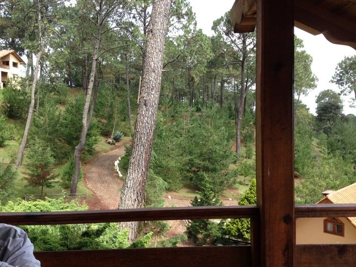 Luna de miel en frio - 2