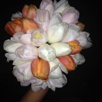 Que flores escogieron? - 1