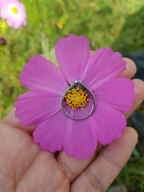 Martes con “m” de ¡muéstrenme sus anillos! - 1