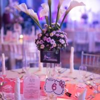 Boda con temática de Hello Kitty - 5