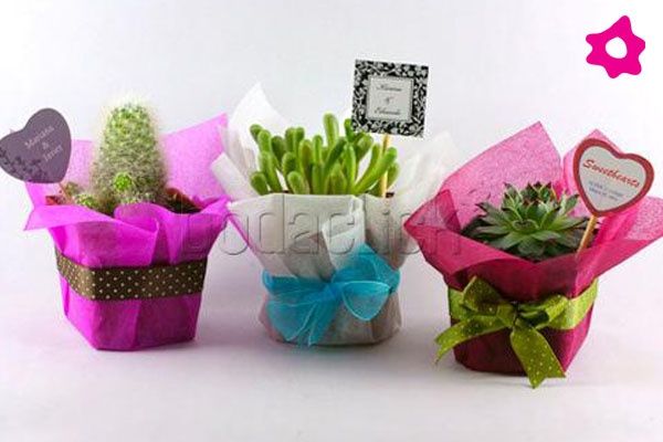 recuerdos originales