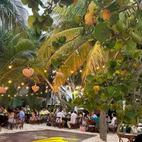 ¿Cuánto te costó tu lugar de boda? 💲💲💲 - 2