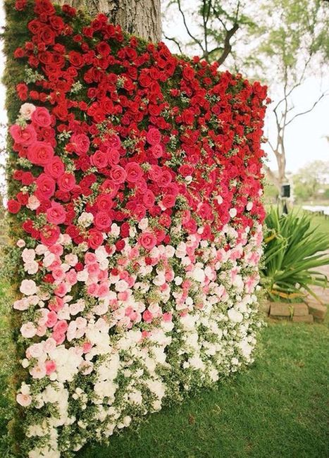 Muro de flores rojas como decoración 1