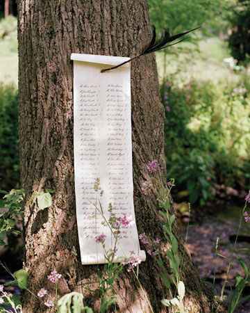 Avances  - boda en el bosque - 3