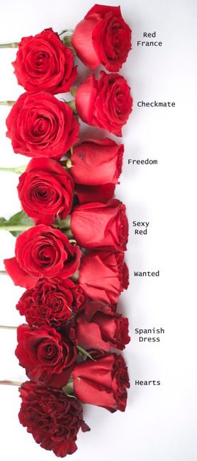  Flores rojas para boda - 2