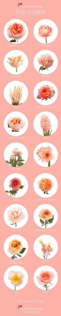  Flores color peach - 2