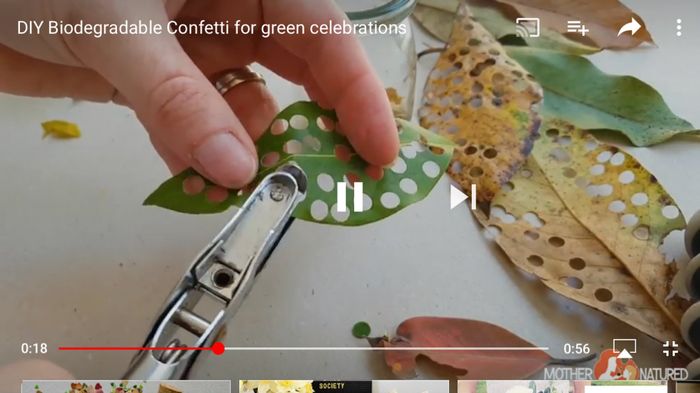 Confetti biodegradable 1